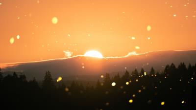 Sun flare sunlight 4k wallpaper