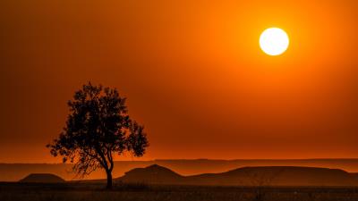 Sun sky horizon 4k wallpaper