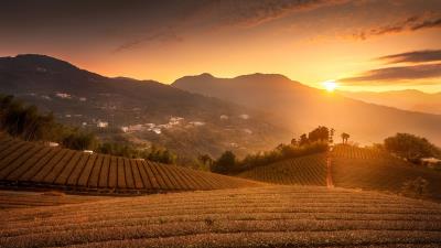 Sun slope arable land 4k wallpaper