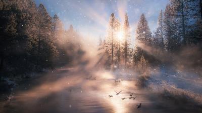 Sunbeam 4k wallpaper