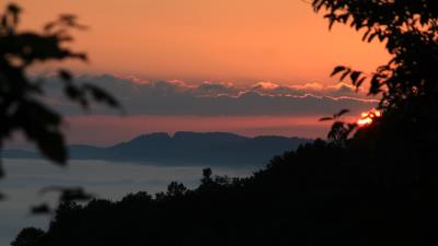 Sunrise sun branches 4k wallpaper