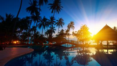 Sunrise thailand paradise trees sea water palm trees 4k wallpaper