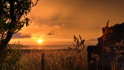 Sunset coast grass 4k wallpaper