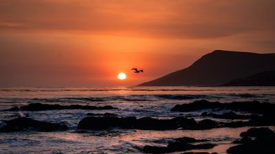 Sunset horizon rocks 4k wallpaper