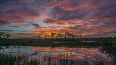 Sunset lake trees 4k wallpaper