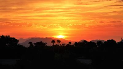 Sunset palm trees hills 4k wallpaper