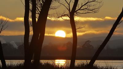 Sunset river trees image 4k wallpaper