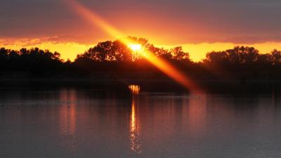 Sunset river trees light 4k wallpaper