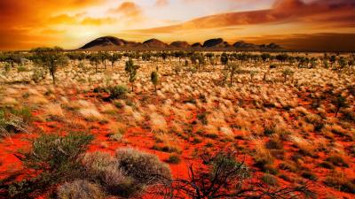 Sunset shroud nature 4k wallpaper