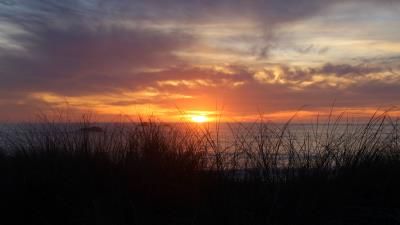 Sunset sky grass 4k wallpaper