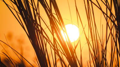 Sunset sun grass image 4k wallpaper