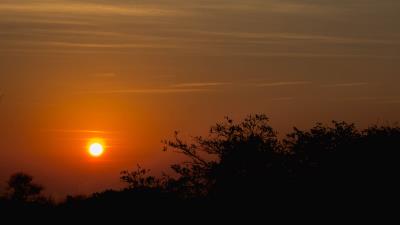 Sunset sun sky trees 4k wallpaper