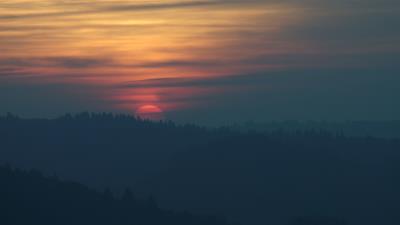 Sunset sun spruce image 4k wallpaper