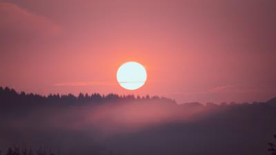 Sunset sun spruce 4k wallpaper