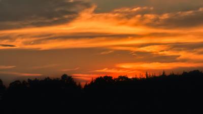 Sunset tree horizon h 4k wallpaper