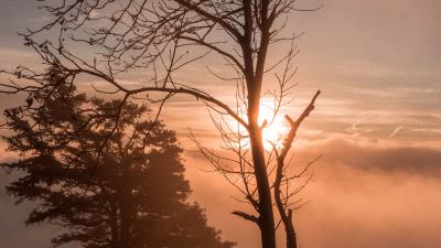Sunset trees clouds 4k wallpaper