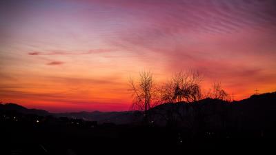 Sunset trees night 4k wallpaper