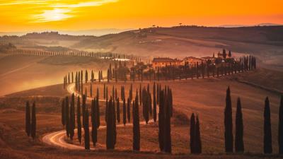 Sunset trees road 4k wallpaper