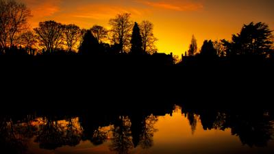 Sunset trees silhouette f 4k wallpaper