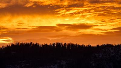 Sunset trees silhouette image 4k wallpaper