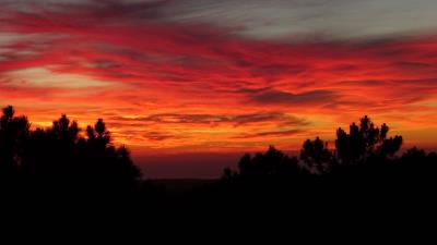 Sunset trees sky clouds 4k wallpaper
