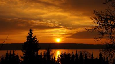 Sunset trees sky river 4k wallpaper