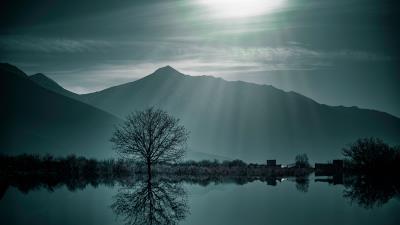 Tree fog lake 4k wallpaper