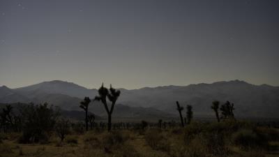 Tree savannah mountains 4k wallpaper