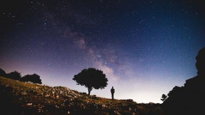 Tree starry sky night silhouette 4k wallpaper