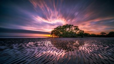 Tree sunrise water colorful 4k wallpaper