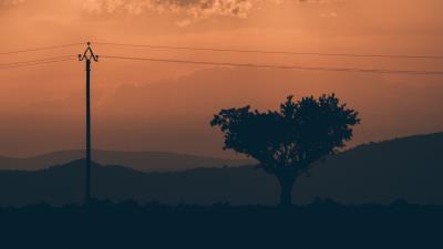 Tree sunset column wires 4k wallpaper