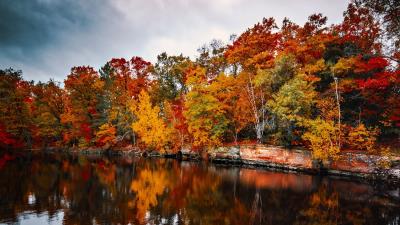 Trees autumn lake 4k wallpaper