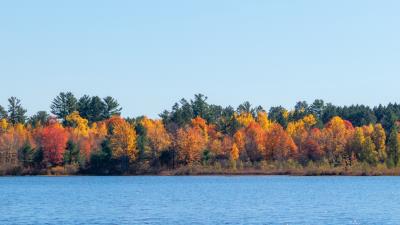 Trees autumn river 4k wallpaper