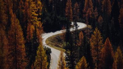 Trees autumn road 4k wallpaper
