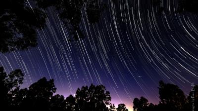 Trees branches night image 4k wallpaper