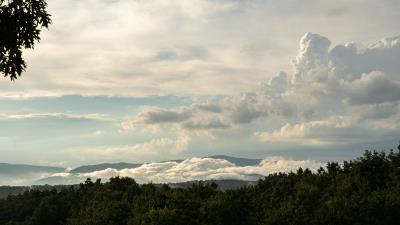 Trees bushes clouds 4k wallpaper