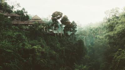 Trees cliff building 4k wallpaper