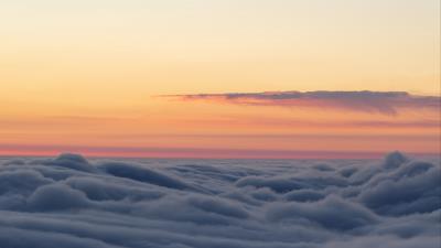Trees clouds horizon 4k wallpaper