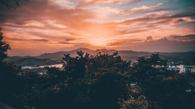 Trees clouds sunset 4k wallpaper