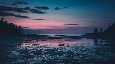 Trees dusk lake 4k wallpaper