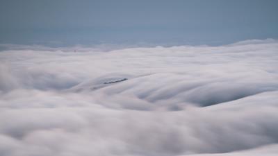 Trees fog clouds image 4k wallpaper