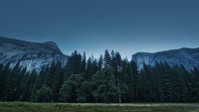 Trees forest mountains usa california yosemite valley 4k wallpaper