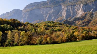 Trees grass rocks 4k wallpaper