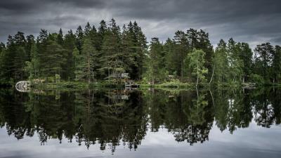 Trees lake reflection 4k wallpaper