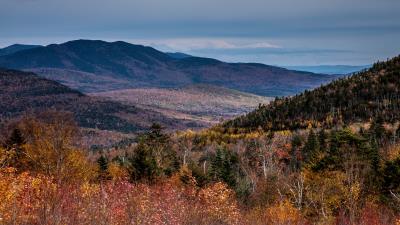 Trees mountains forest 4k wallpaper
