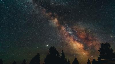 Trees nebula starry sky 4k wallpaper