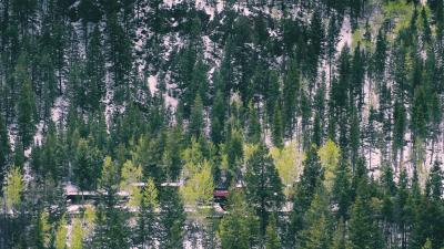 Trees railway hill snow winter 4k wallpaper