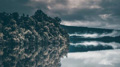 Trees river fog sky 4k wallpaper