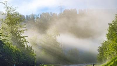 Trees road marking 4k wallpaper