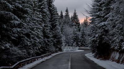 Trees road winter snow 4k wallpaper